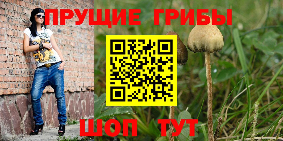 Псилоцибиновые грибы мухоморы  Вход с VPN  Псилоцибиновые грибы мицелий  Тольятти 